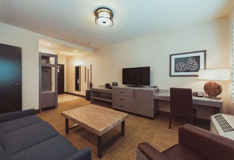 غرفة قياسية سرير كينج, Tailwater Lodge Altmar, Tapestry Collection By Hilton