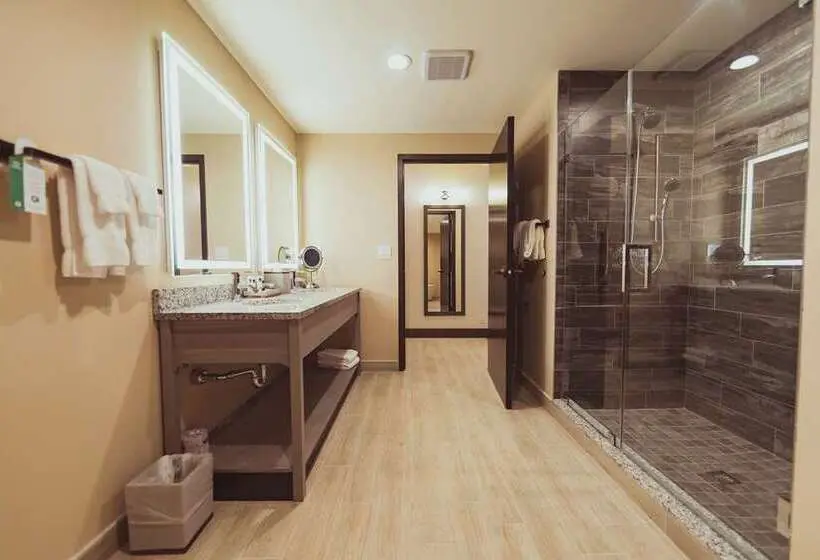 Standard-huone King-vuode, Tailwater Lodge Altmar, Tapestry Collection By Hilton