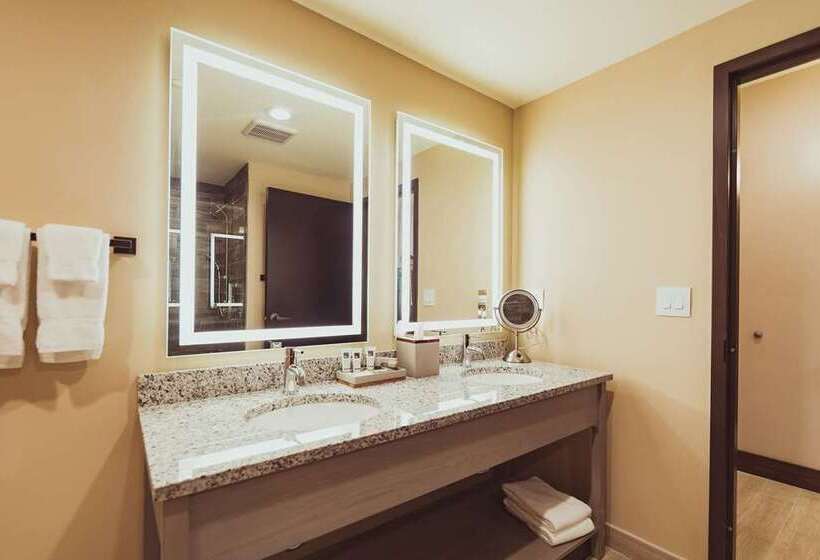 غرفة قياسية سرير كينج, Tailwater Lodge Altmar, Tapestry Collection By Hilton