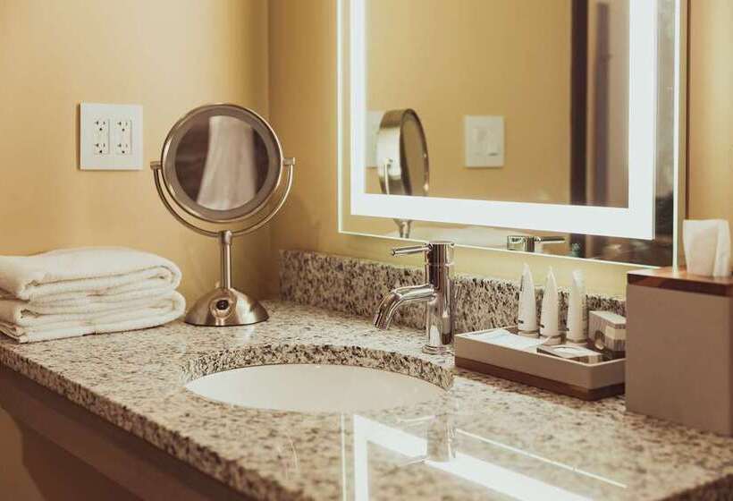 غرفة قياسية سرير كينج, Tailwater Lodge Altmar, Tapestry Collection By Hilton