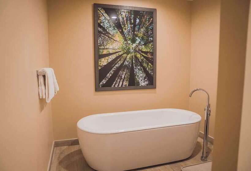 جناح, Tailwater Lodge Altmar, Tapestry Collection By Hilton