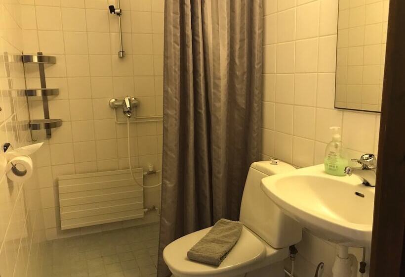 חדר סטנדרט, Guesthouse Borealis