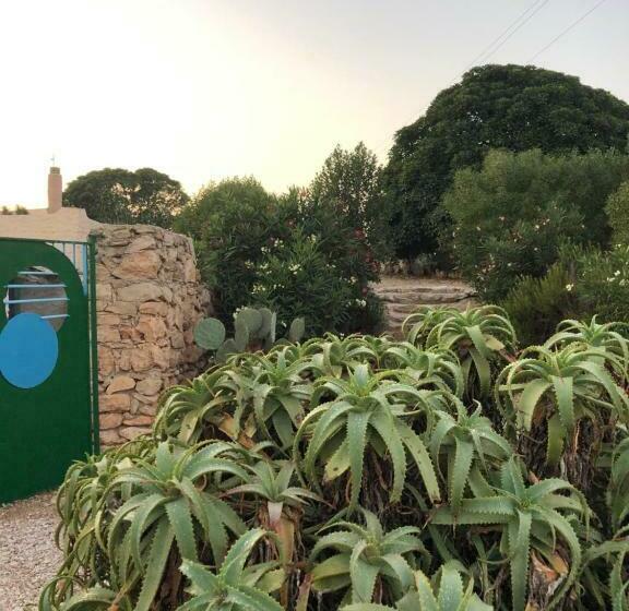 标准间, I Dammusi Del Blu Green