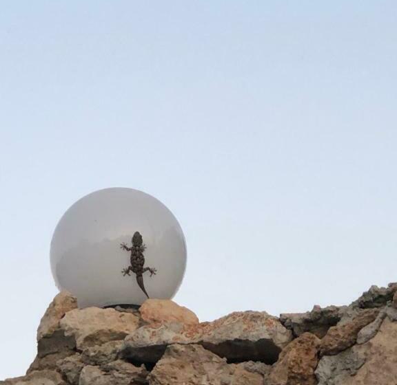 标准间, I Dammusi Del Blu Green