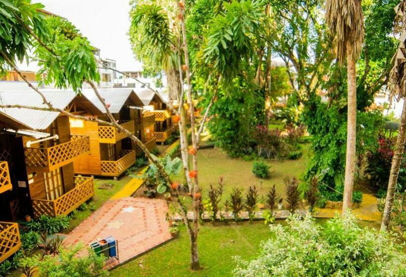 Superior Éénpersoonskamer, El Auca