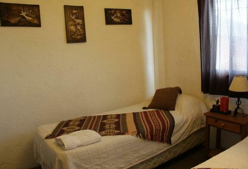 标准间, Hospedaje Lo De Max