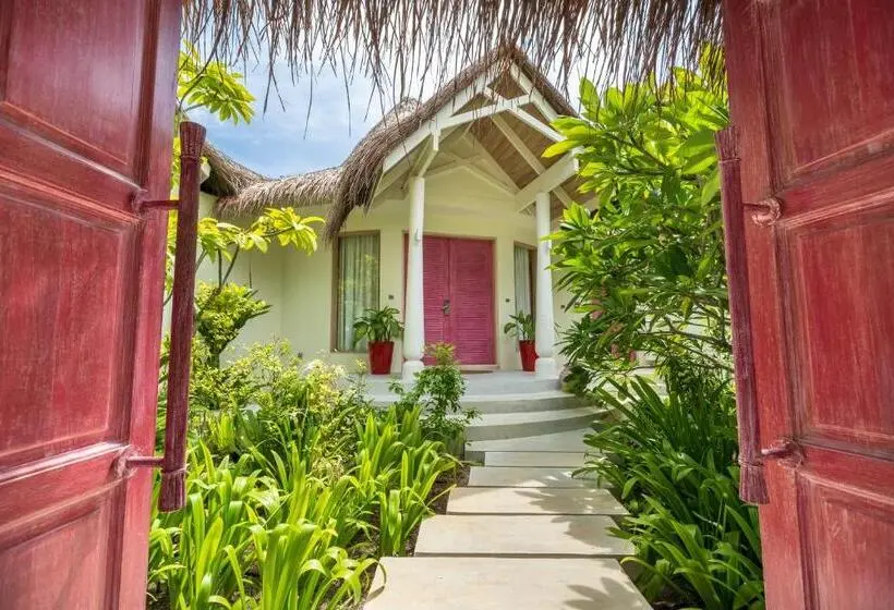 اتاق استاندارد, Milaidhoo Maldives