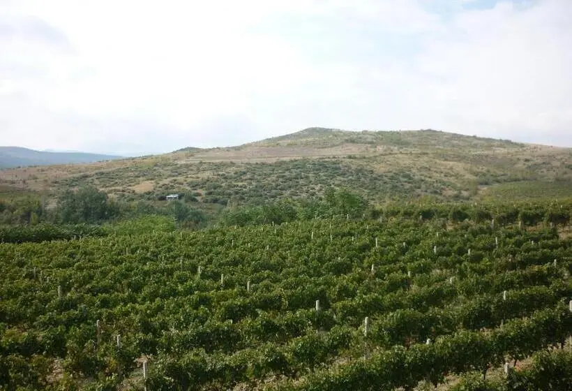 سوییت جونیور لوکس, Popova Kula Hotel & Winery