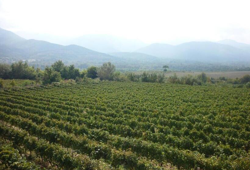 سوییت جونیور لوکس, Popova Kula Hotel & Winery