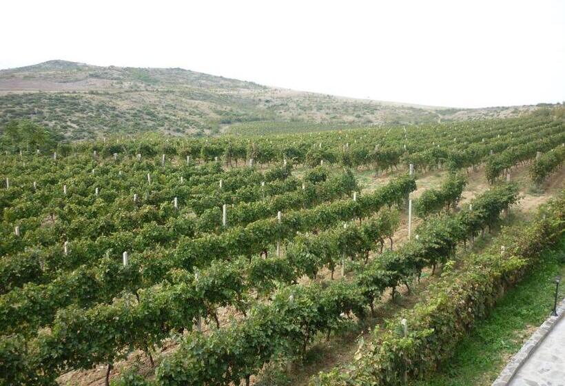 اتاق استاندارد با بالکن, Popova Kula Hotel & Winery