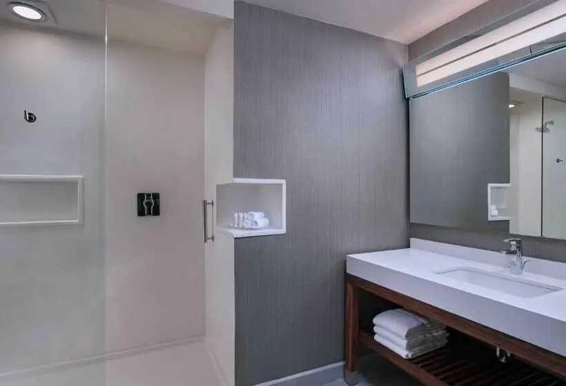 اتاق استاندارد با تخت بزرگ, Courtyard By Marriott Guatemala City