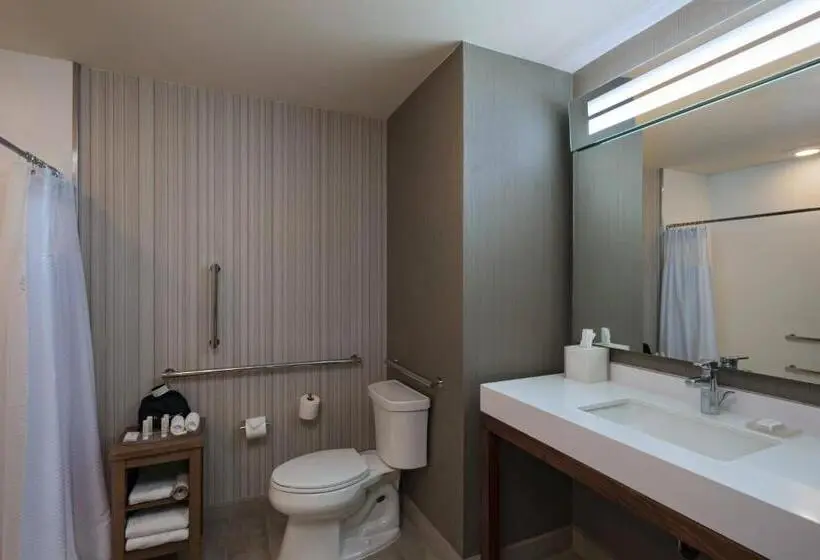 اتاق استاندارد, Courtyard By Marriott Guatemala City