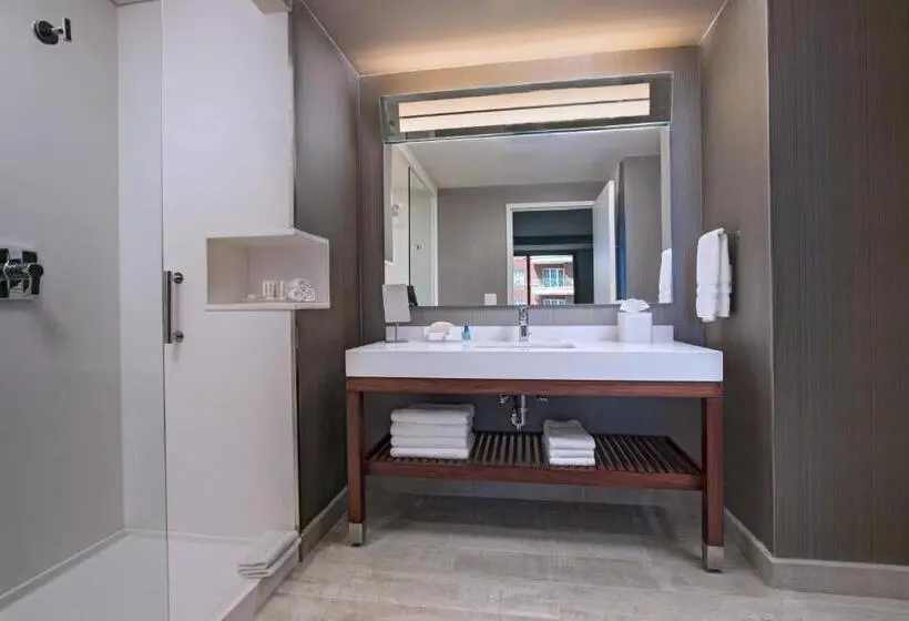 سوئیت با تخت بزرگ, Courtyard By Marriott Guatemala City