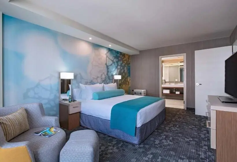 سوئیت با تخت بزرگ, Courtyard By Marriott Guatemala City