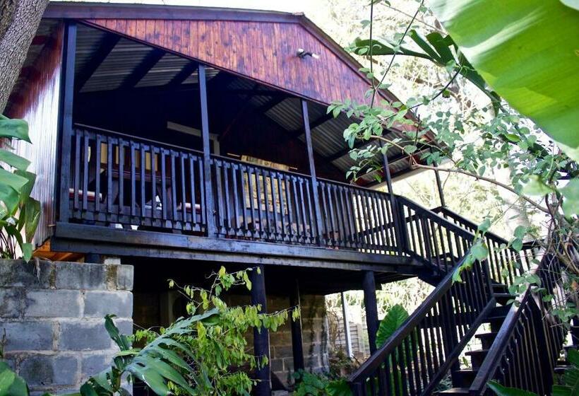 Апартаменты 1 Спальня, Old Vic Travellers Inn Nelspruit