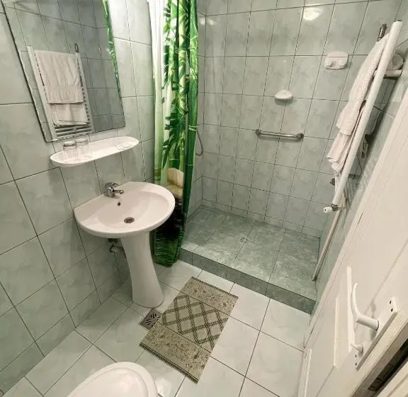 スタンダードルーム, Pensiunea Olt Centrum/ Olt Centrum Panzió