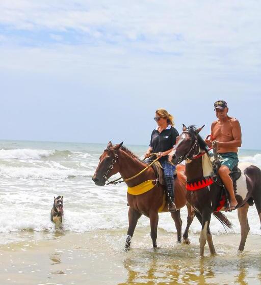 شاليه غرفة نوم واحدة, Pousada Sargi&mar