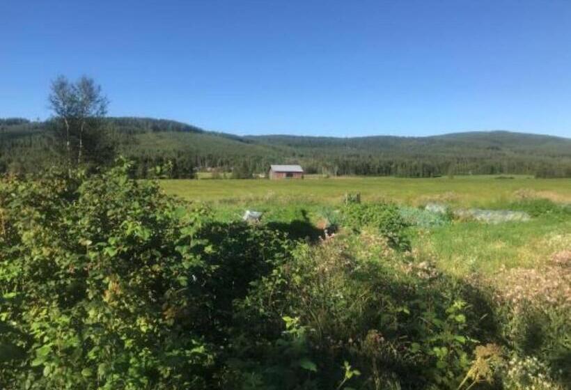 Standardrum, Annas B&b