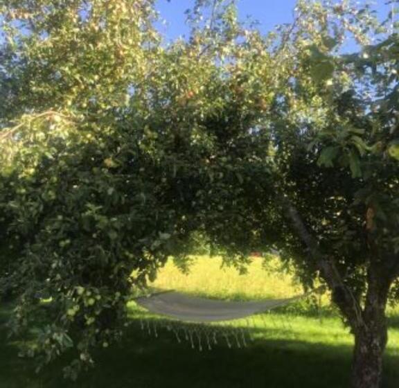 Standardrum, Annas B&b