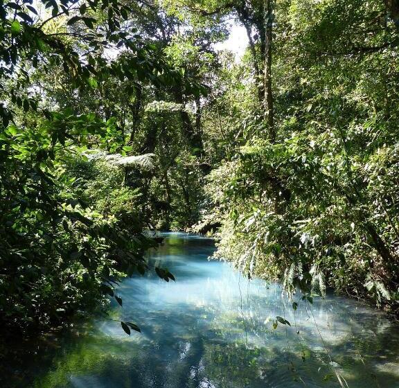 غرفة قياسية, Cabinas Río Frío