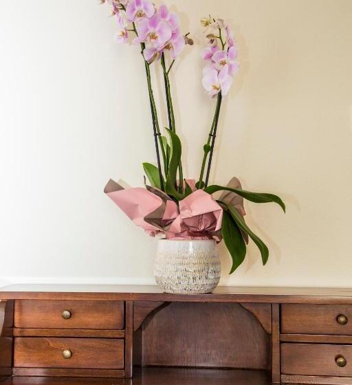 スタンダードルーム, La Borgata Rooms