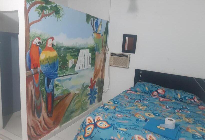 スタンダードルーム, Hostal Nuevo Hollywood