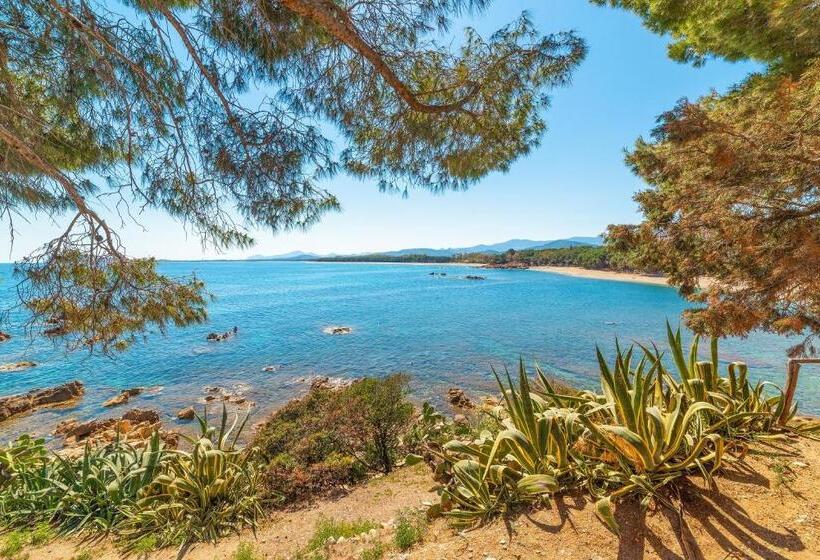 חדר סטנדרט, Bonora Suites