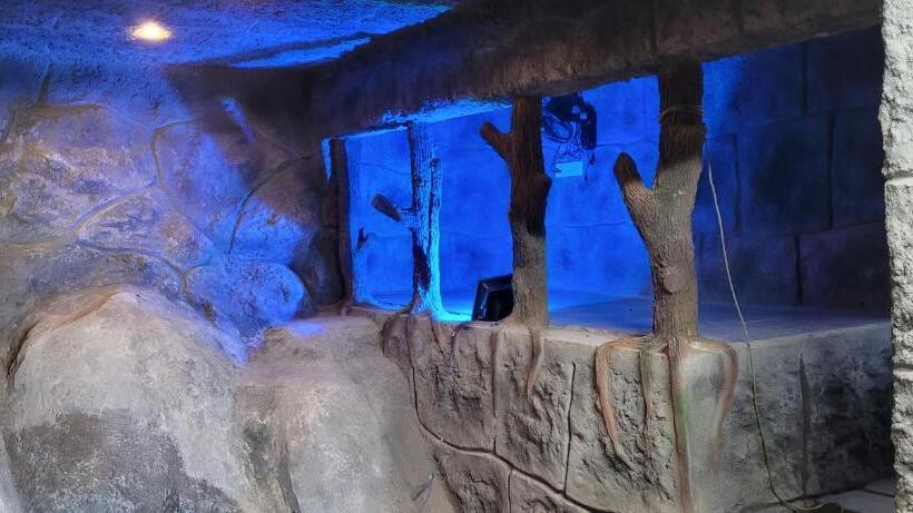 Номер Стандарт Вид на Горы, Cave Castle Panchalimedu