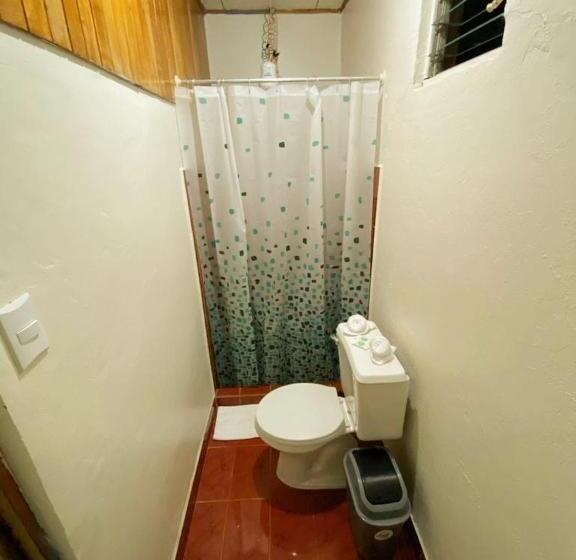 غرفة قياسية, Cabinas Morpho Gardens