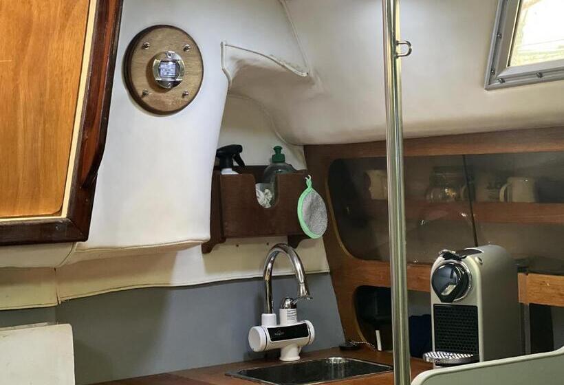 家庭间, Nuits Enchantées Sur Les Flots Embarquez Pour Une Aventure Inédite à Sète