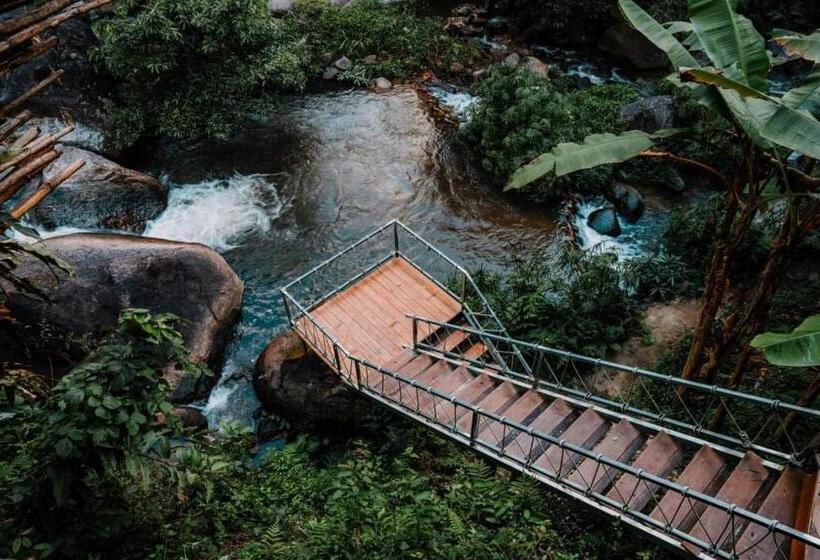 اتاق استاندارد با تراس, The River Whisper