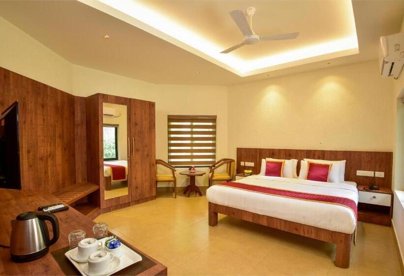 豪华房间, The Forrest Inn