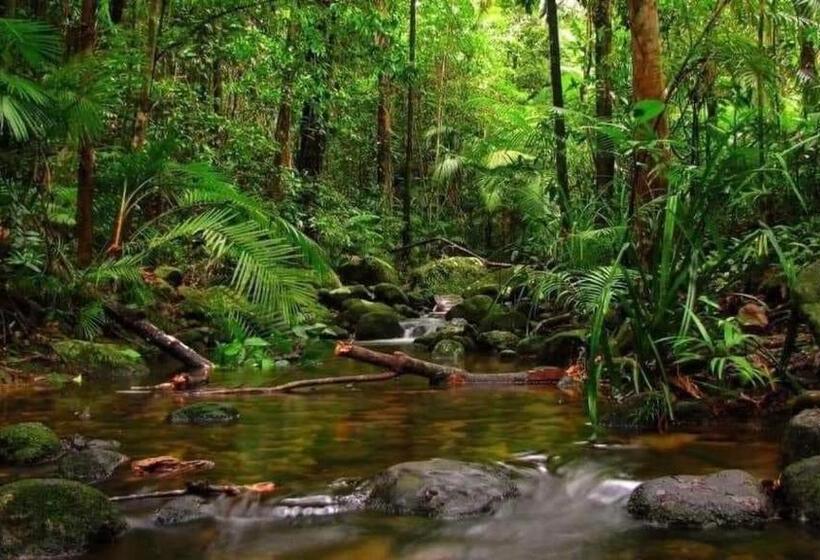 스탠다드 룸, Kosgahadolaella Green Resort