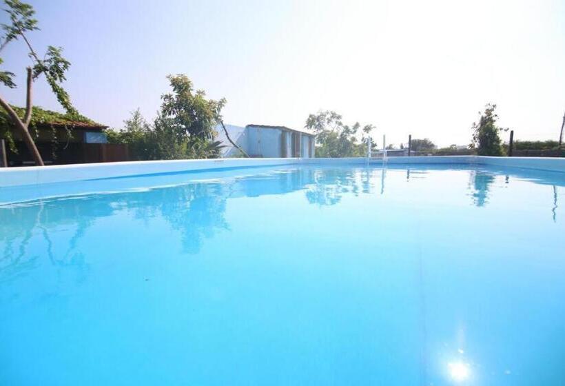 חדר סטנדרט, Rose Beach Resort