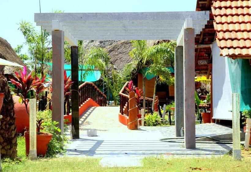 חדר משפחתי, Rose Beach Resort