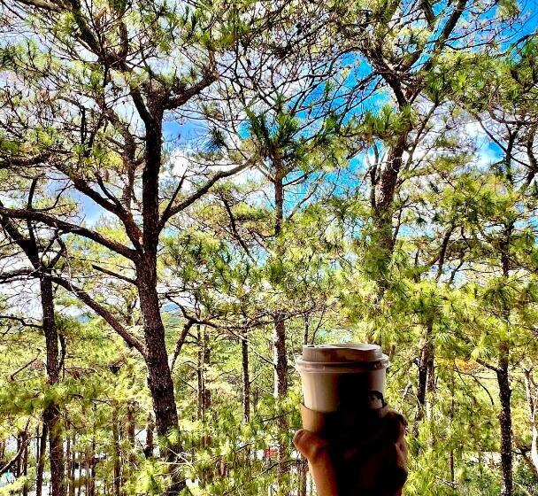 استودیوی استاندارد, Relaxing Forest View At Forest Lodge Hotel, Cjh Private Unit 554