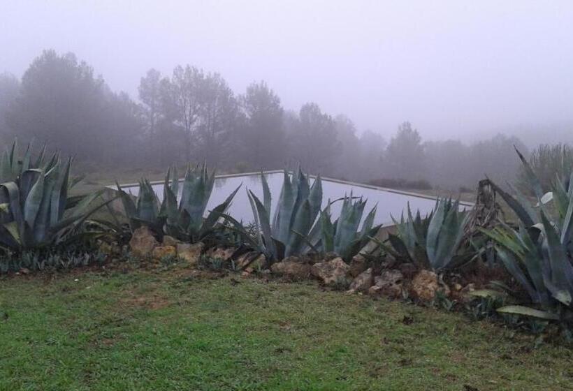 Дом 1 Спальня, Casa Rural En Pleno Paraje Natural La Chirala
