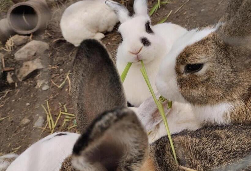 חדר דחוקס עם מיטת קינג, Ecoh Elgranmirador