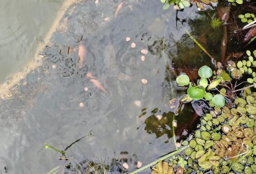 חדר דלוקס, Ecoh Elgranmirador