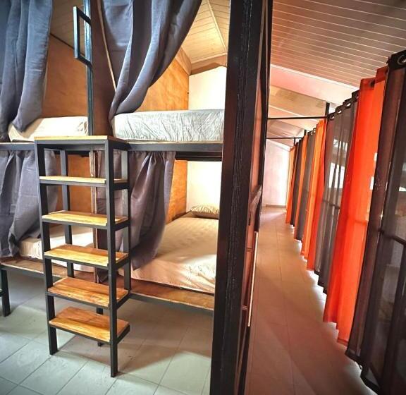 سرير فى غرفة مشتركه, Blasina El Valle