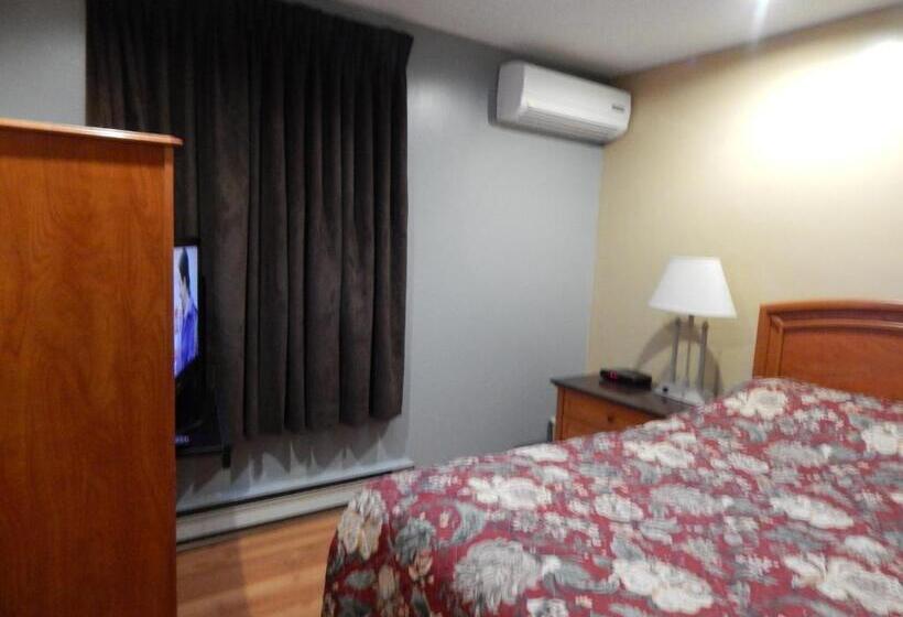 اتاق استاندارد با سرویس بهداشتی مشترک, Nox Hostel