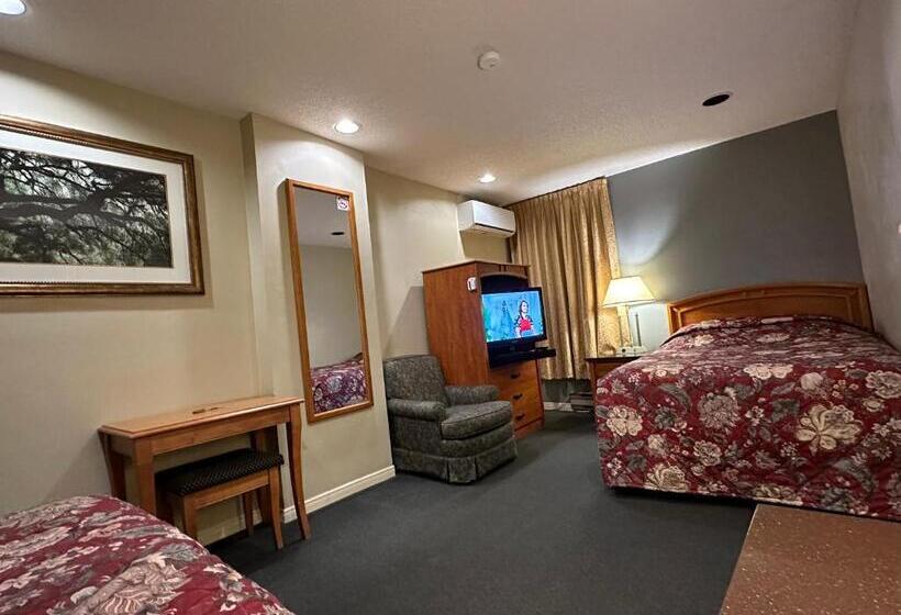 スタンダードルーム, Nox Hostel