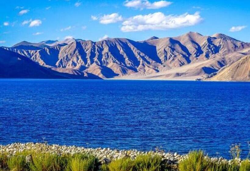 غرفة ديلوكس, Blue Chill Cottage Pangong