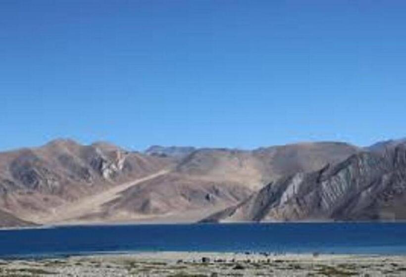 Номер Deluxe, Blue Chill Cottage Pangong