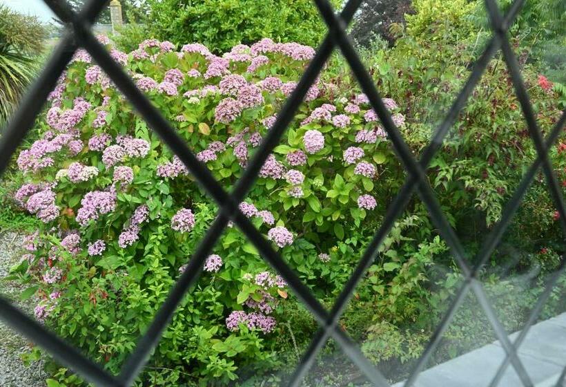 Номер Стандарт, Halwell Lodge