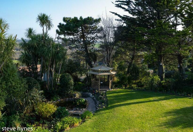 Номер Стандарт, Halwell Lodge