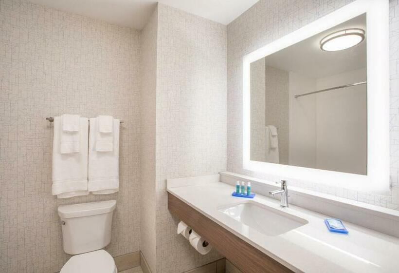 스탠다드 룸 킹사이즈 침대, Holiday Inn Express & Suites Owings Mills Baltimore Area, An Ihg