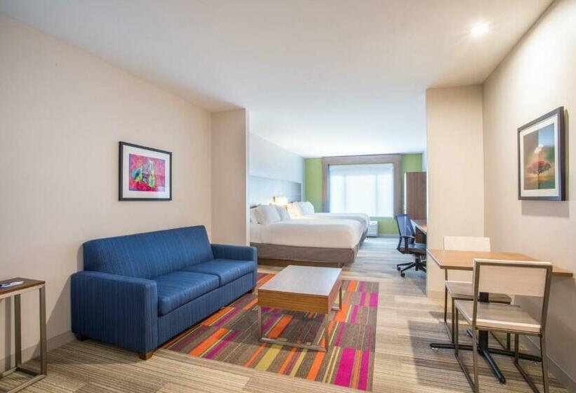 جناح, Holiday Inn Express & Suites Owings Mills Baltimore Area, An Ihg