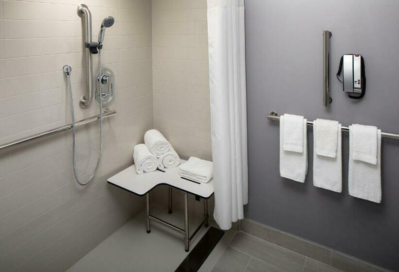 장애인을 위한 킹사이즈 침대 스탠다드 룸, Hyatt Place New York Chelsea