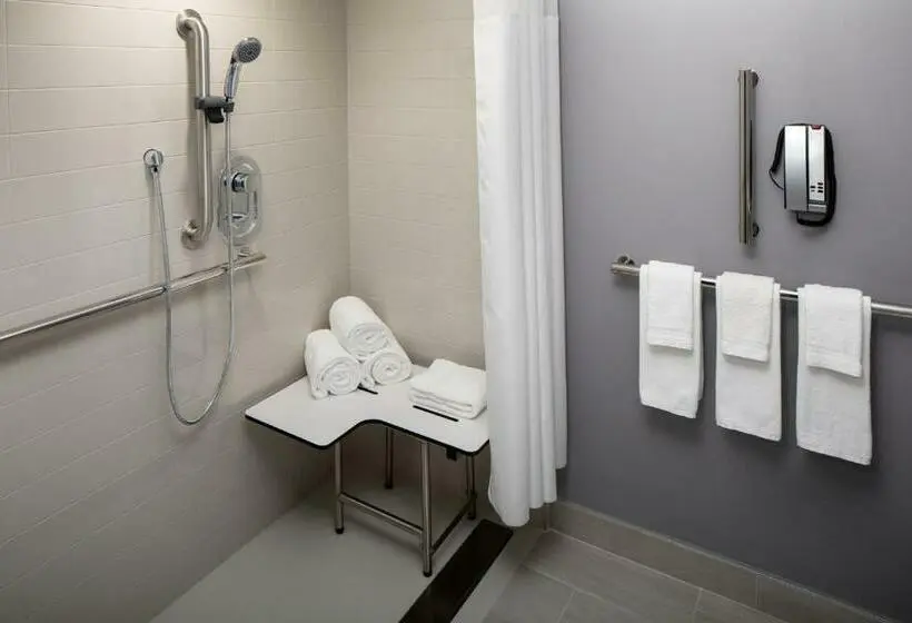 اتاق استاندارد با تخت بزرگ برای معلولان, Hyatt Place New York Chelsea